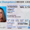 Buy Hampshire Driver License Online