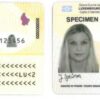 Buy ID Card Luxembourg Online