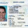 Buy Nevada Driving License Online