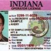Buy Indiana Driver License Online