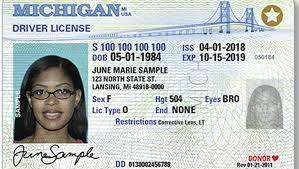 Buy Michigan Driver License and ID Cards
