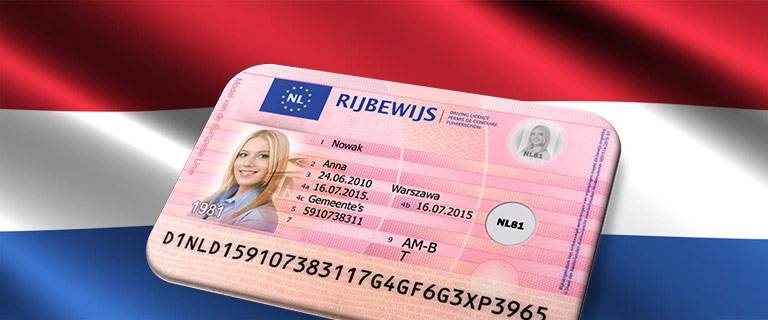 Get Your Dutch Driving License Without the Stress