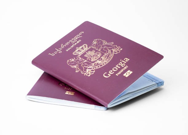 Georgian Passport: A Guide to Travel Benefits and Application
